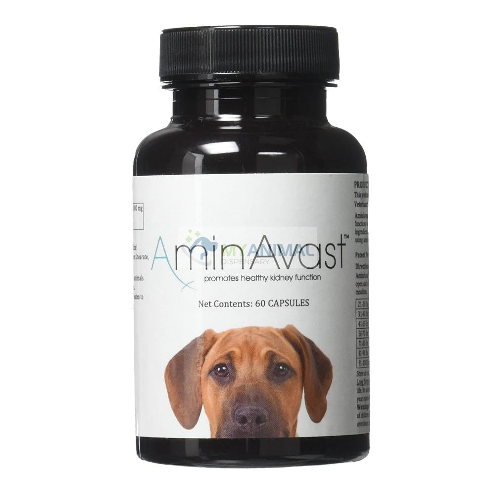 AminAvast® Kidney Health Supplement for Dogs >9kg (60 Capsules)
