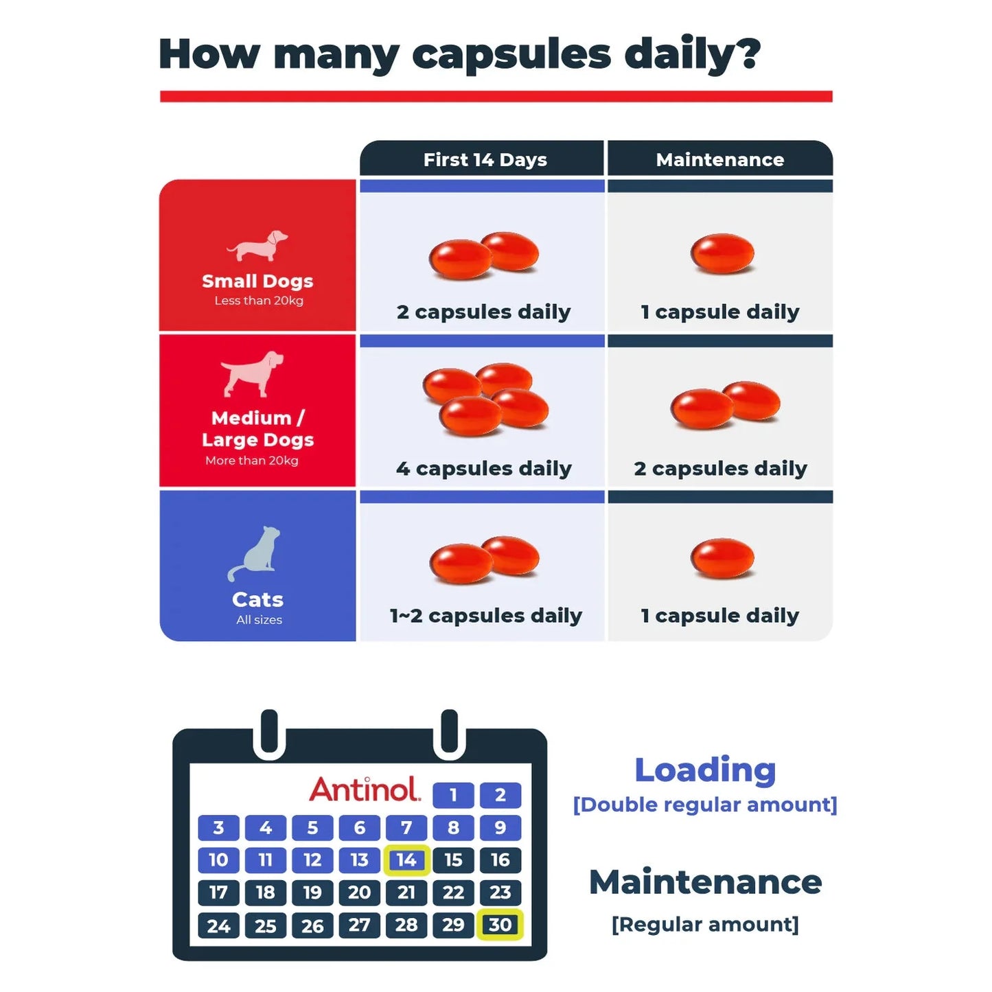Antinol® Plus Joint Supplement for Dogs
