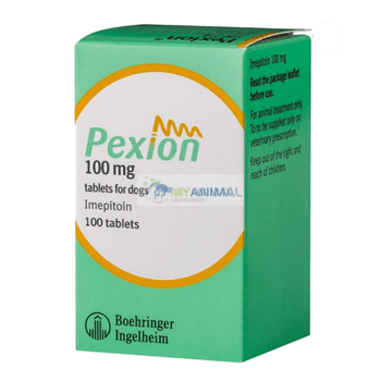Boehringer Ingelheim Pexion Neurological Epilepsy Tablet for Dogs Cats (100mg)