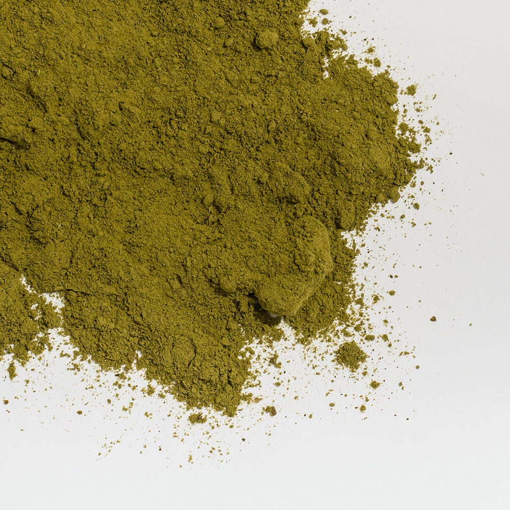 Coastal Canine Joint Boost Powder Supplement Trial Pack for Dogs and Cats