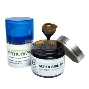 Jean-Paul Nutraceuticals Natural Gut Probiotics Paste (Immuno XT)