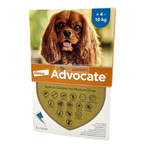 Advocate Fleas & Heartworm Prevention for Medium Dogs (4 to 10Kg)