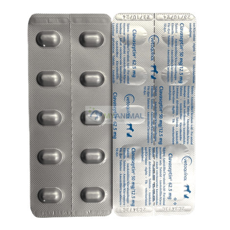 Clavaseptin 62.5mg Tablet