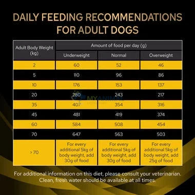 Purina® Pro Plan® Veterinary Diet Neurocare Canine Dry Food (Clearance)