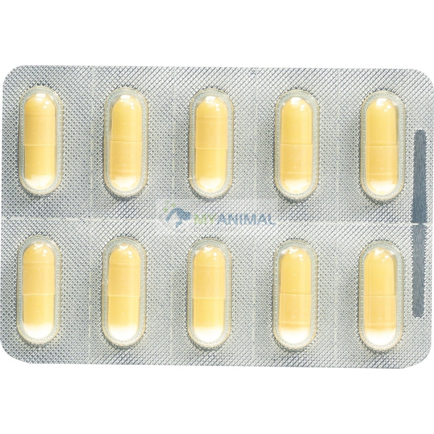 Sandoz Gabapentin Anticonvulsant Pain Relief Treatment Capsule (300mg)