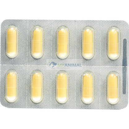 Sandoz Gabapentin Anticonvulsant Pain Relief Treatment Capsule (300mg)