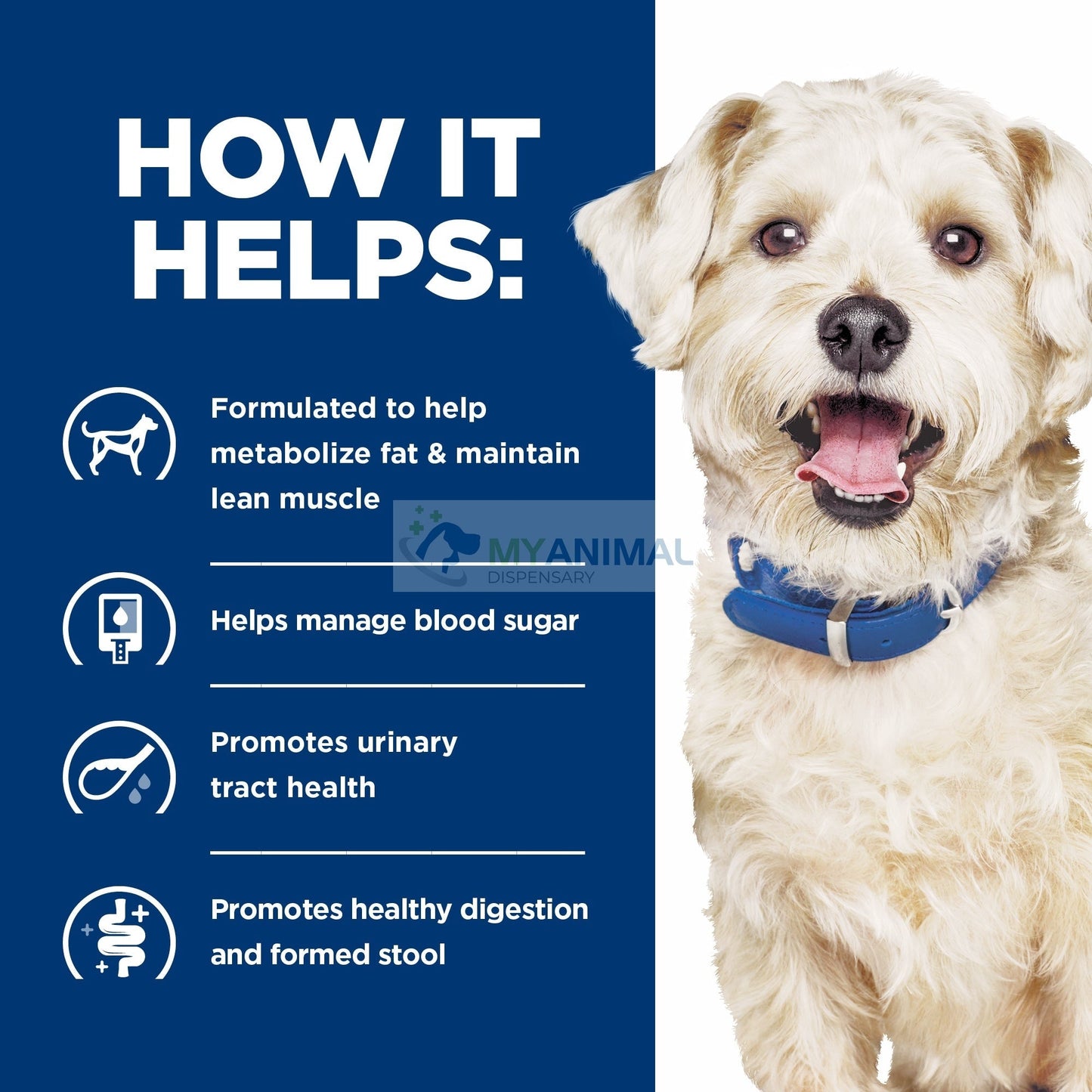 Hill's® Prescription Diet® w/d® Canine Multi Benefit Weight GI & Glucose Management