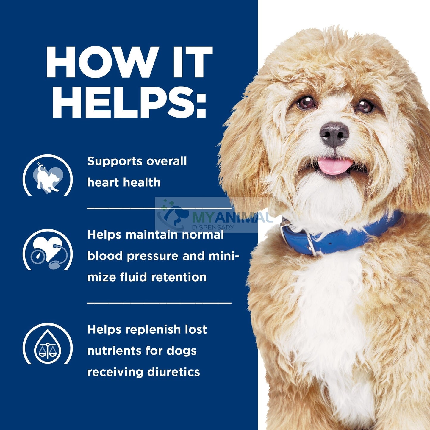 Hill's® Prescription Diet® h/d® Canine Heart Care