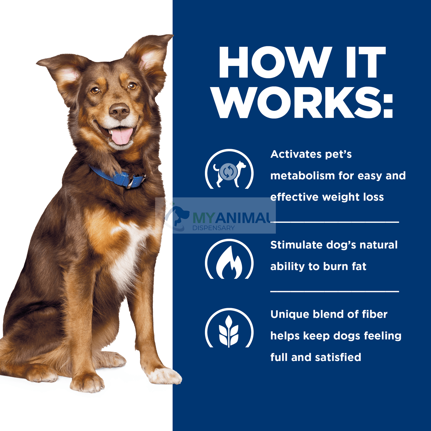 Hill's® Prescription Diet® Metabolic Canine Weight Management