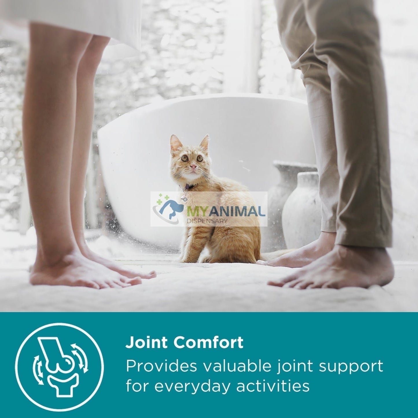 PROMOTION: MaxxiPaws MaxxiSAMe Liver Supplement for Cats (90g)
