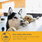 PROMOTION: MaxxiPaws MaxxiCardio Cardiac Supplement for Dogs