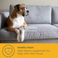 PROMOTION: MaxxiPaws MaxxiCardio Cardiac Supplement for Dogs
