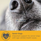 PROMOTION: MaxxiPaws MaxxiCardio Cardiac Supplement for Dogs