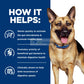 Hill's® Prescription Diet® Gastrointestinal Biome Canine