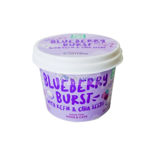 PETCUBES Blueberry Burst with Kefir and Chia Seeds Gourmet Ice Cream (3.5oz)