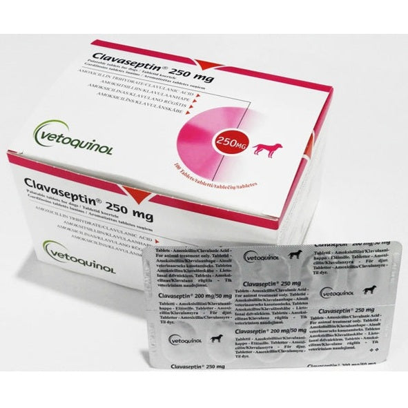 Clavaseptin 250mg Tablet
