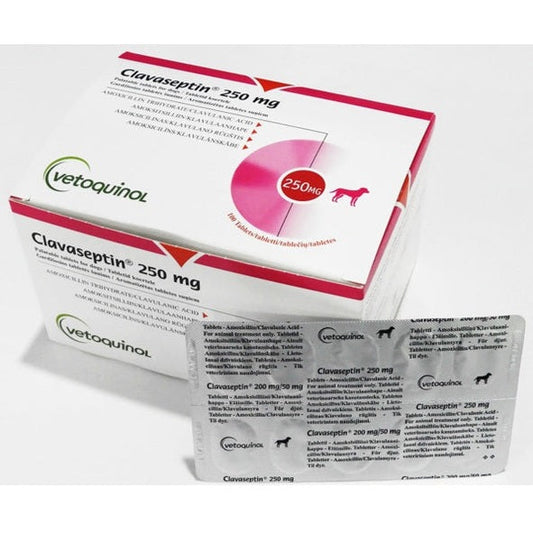 Clavaseptin 250mg Tablet