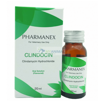 Pharmanex Clindocin (Clindamycin 25mg/mL)Antibiotic Oral Syrup for Dogs Cats Pets 20mL