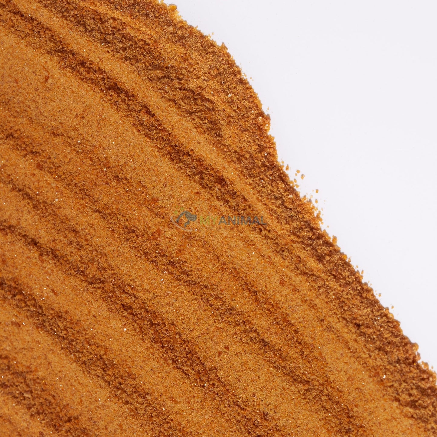 CLEARANCE: Coastal Canine Beef Bone Broth Powder Supplement for Dogs and Cats