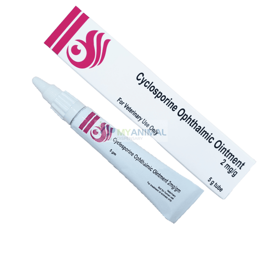 Cyclosporine Ophthalmic Ointment 2mg/g 5g