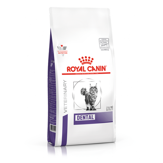 Royal Canin® Veterinary Diet Dental Dry Feline Food