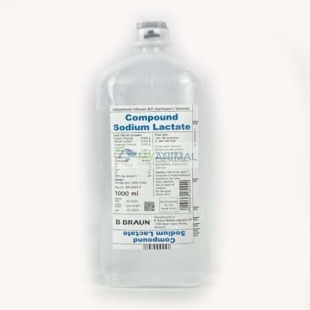 Hartmann's Solution (Sodium Lactate) 500mL / 1000mL