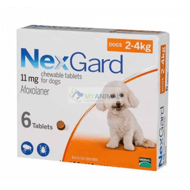 Nexgard Chewable Flavor Fleas Ticks Prevention for Small Dog (2-4Kg)