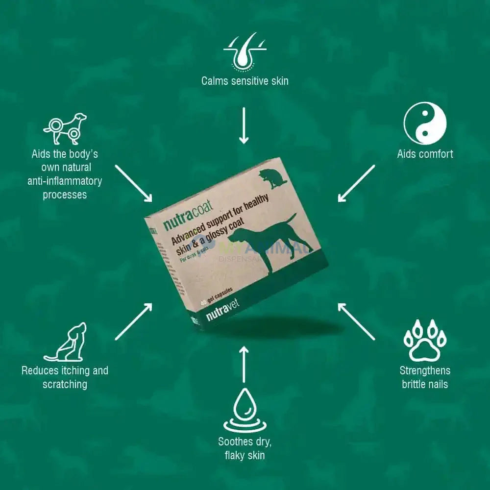 Nutravet Nutracoat Skin and Coat Supplement for Dogs, Cats & Small Animals