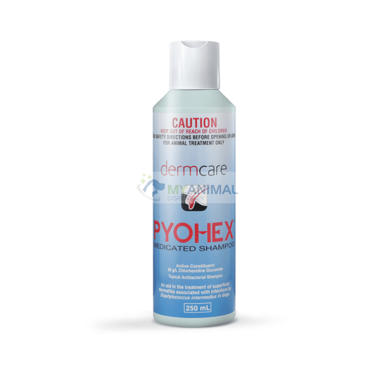 Pyohex® Medicated Shampoo for Dogs