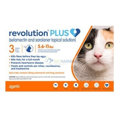 Revolution Plus Medium Orange Fleas Ticks Worms Prevention for Cats (2.6Kg to 5kg)