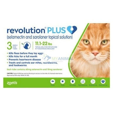 Revolution Plus Large Fleas Ticks Worms Prevention for Cats (5.1-10kg)