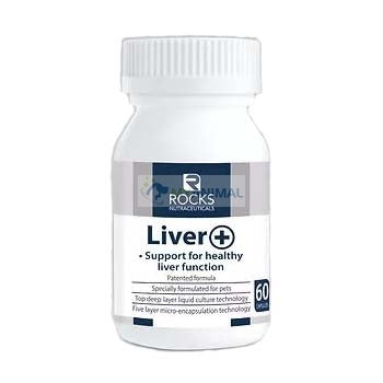 CLEARANCE: Rocks Nutraceuticals Liver + Probiotic Supplement 60s