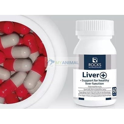 CLEARANCE: Rocks Nutraceuticals Liver + Probiotic Supplement 60s