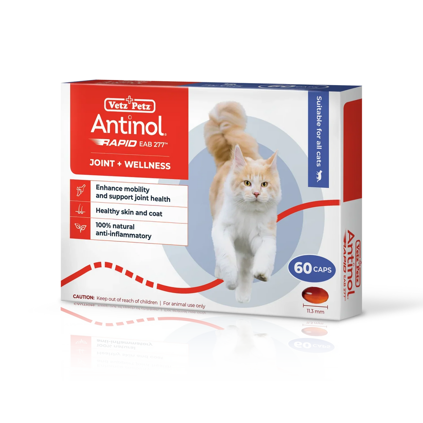 Antinol® Plus Joint Supplement for Cats