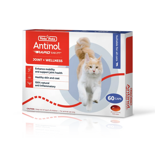 Antinol® Plus Joint Supplement for Cats