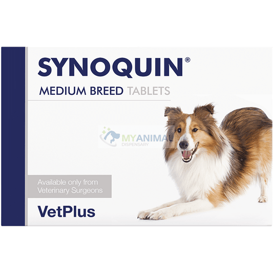 VetPlus SYNOQUIN ® Joint Supplement 30 Tablets for Dogs 10 to 25kg