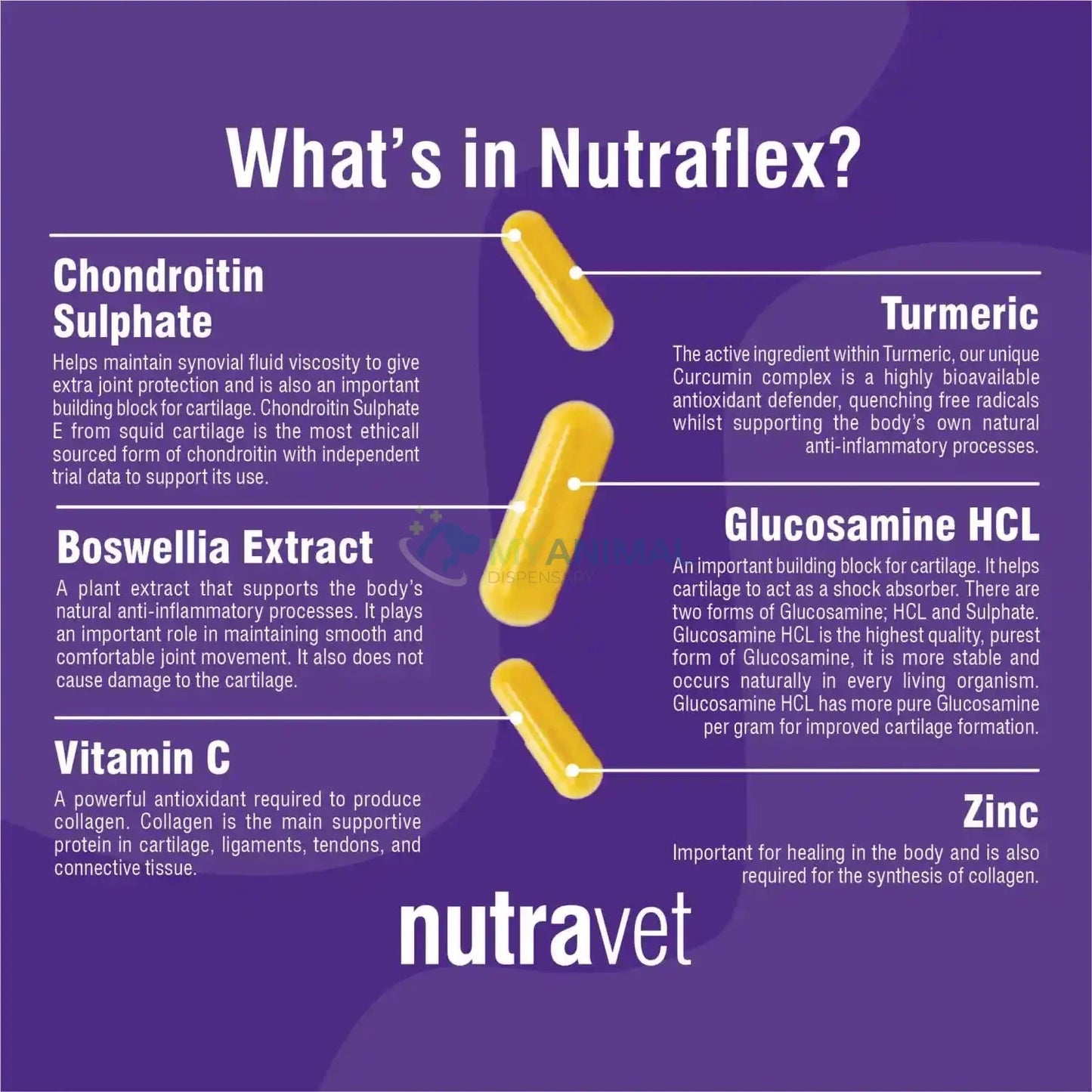 Nutravet Nutraflex Joint Supplement for Dogs, Cats & Small Animals