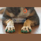 Dr Buzby's Anti Slip Toe Grips for Dogs