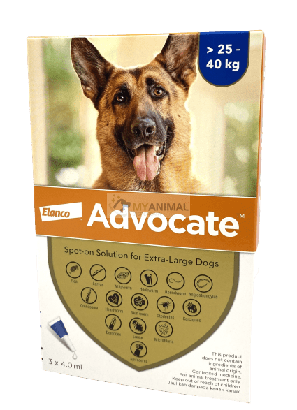 Advocate Fleas & Heartworm Prevention for Extra Large Dog (25kg and above)