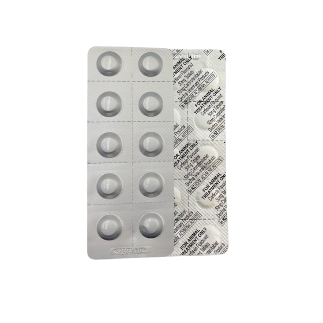 Dechra Carflexin® Carprofen NSAID Pain Relief Beef Flavor Tablet for Dogs (50mg)