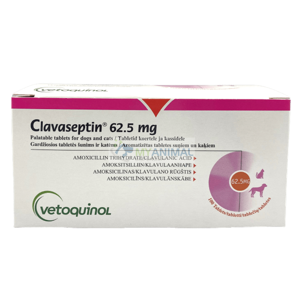 Clavaseptin 62.5mg Tablet