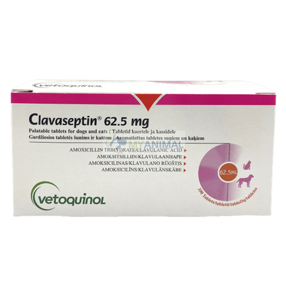 Clavaseptin 62.5mg Tablet