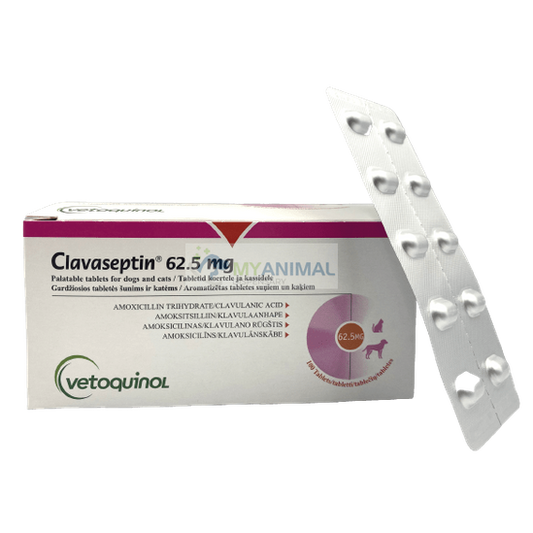 Clavaseptin 62.5mg Tablet