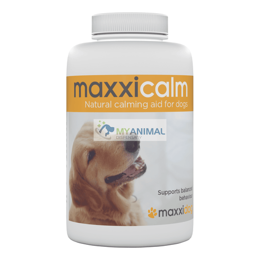 PROMOTION: MaxxiPaws MaxxiCalm Calming Aid for Dogs