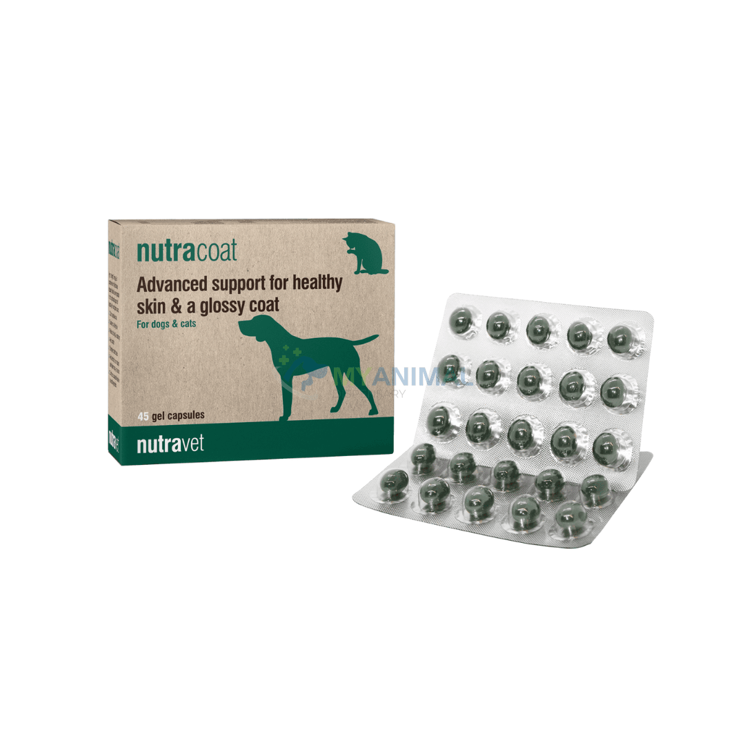 Nutravet Nutracoat Skin and Coat Supplement for Dogs, Cats & Small Animals
