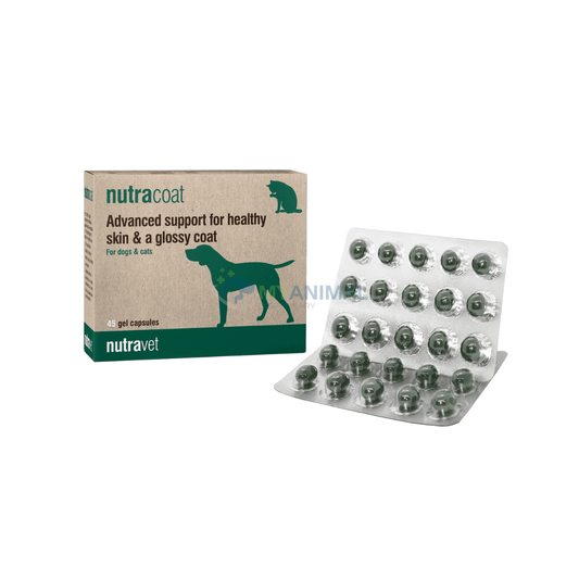 Nutravet Nutracoat Skin and Coat Supplement for Dogs, Cats & Small Animals