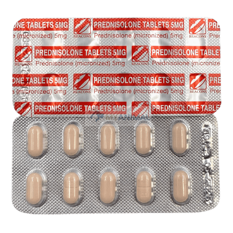 Prednisolone 5mg Tablet